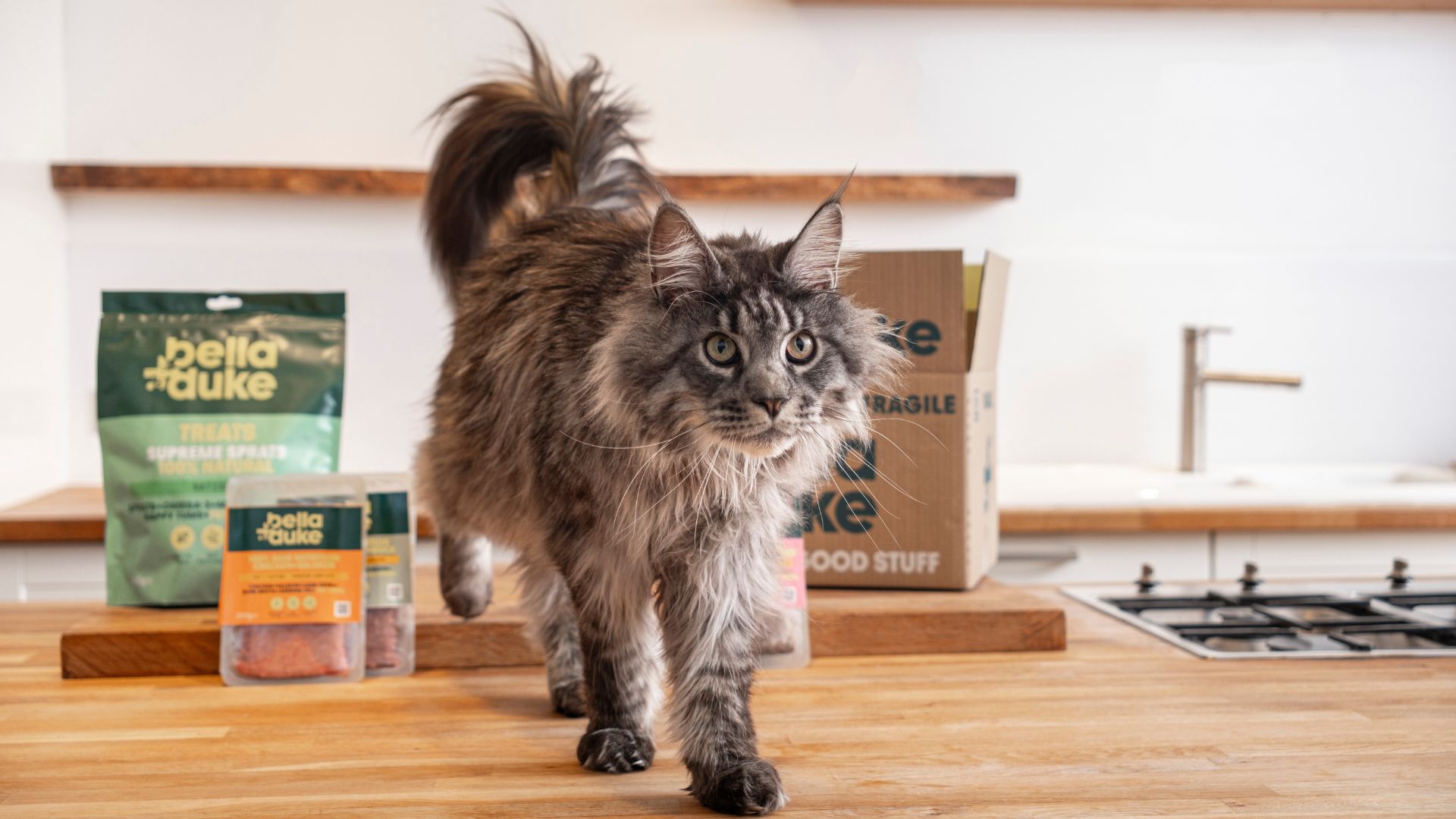 Bella+Duke | New Customer Offer | Cat