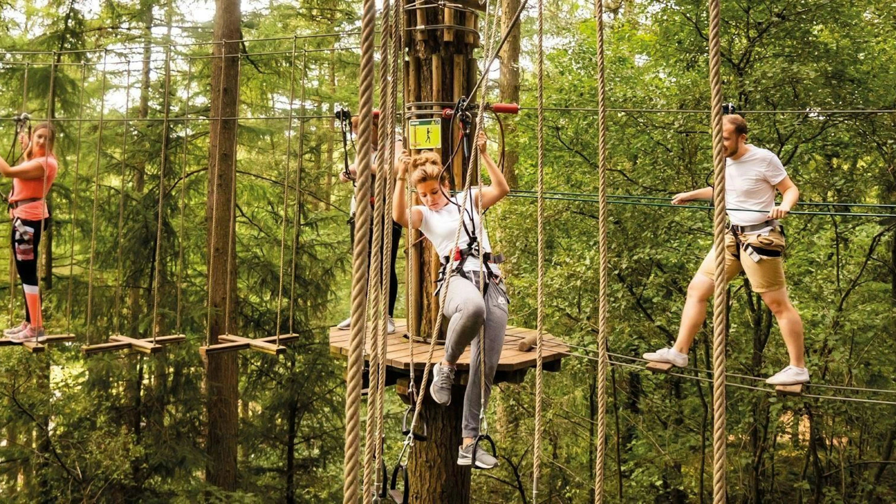 Tourism & Attractions