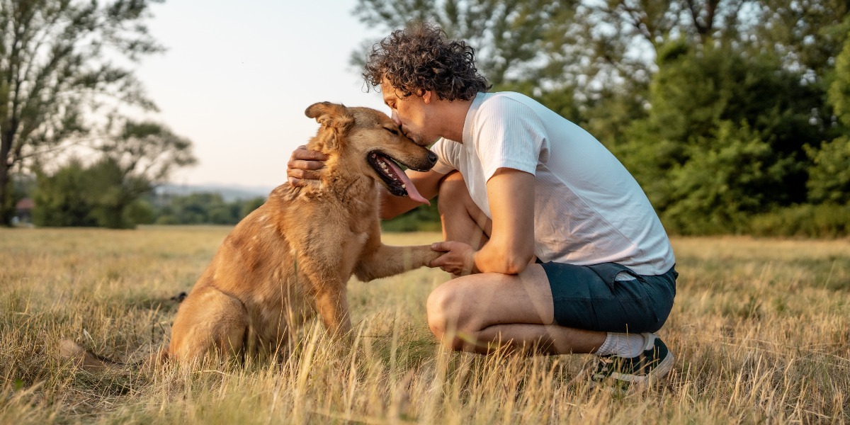 Pets